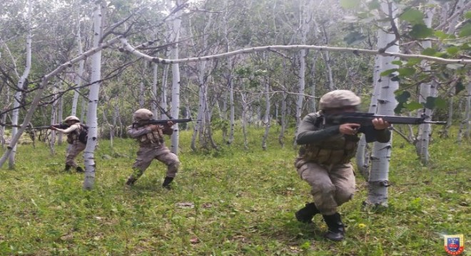 11 PKK/YPG li terörist etkisiz hale getirildi