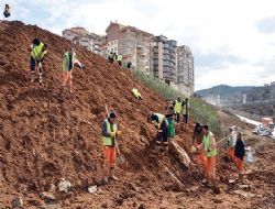 Akpınar’a 30 bin ağaç