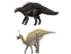Robot gidecek dinozor gelecek