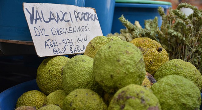 Adı yalancı kendi şifalı