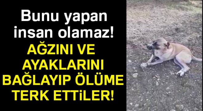 Ağzını ve ayaklarını bağlayarak ölüme terk ettiler