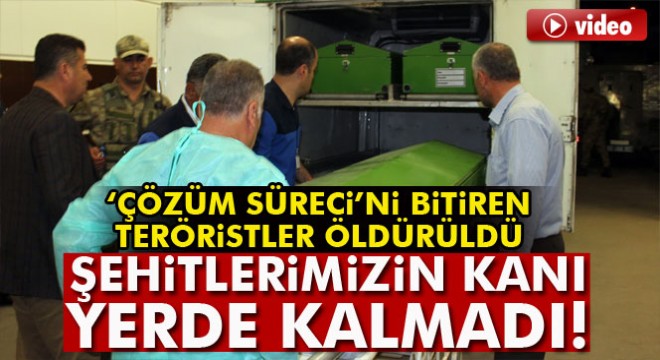 Çözüm Süreci’ni bitiren teröristler öldürüldü