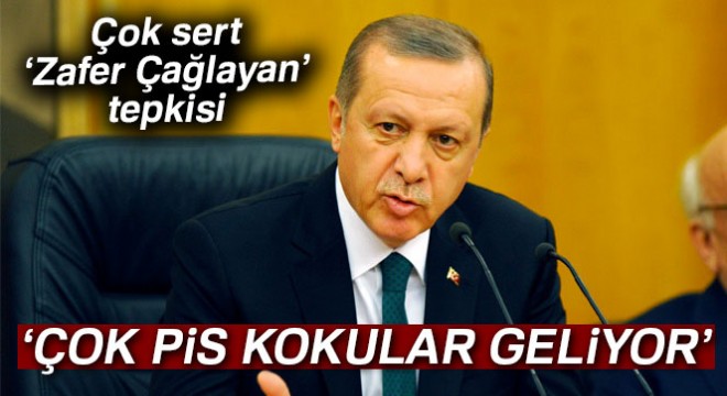 Erdoğan dan çok sert  Zafer Çağlayan  tepkisi