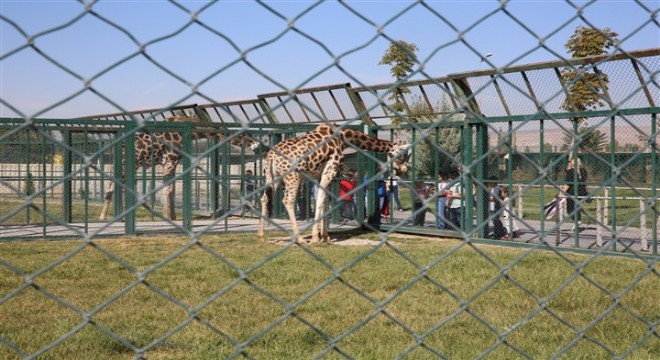 Hayvanat Bahçesi ziyarete kapatıldı