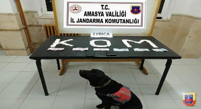 Jandarma, uyuşturucu satıcılarına geçit vermiyor