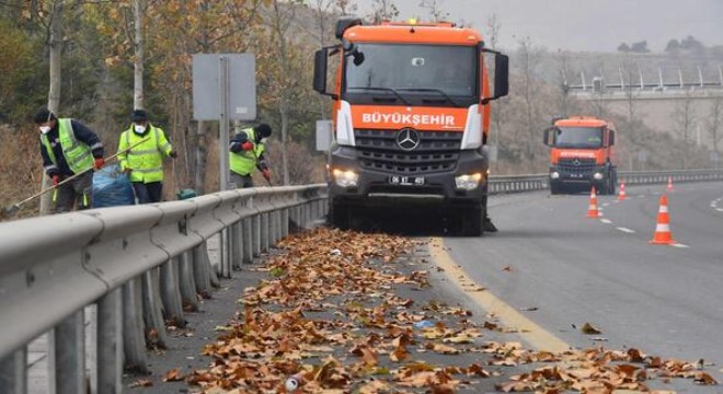 Kent genelinde yaprak temizliği