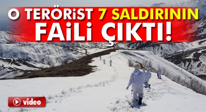 Lice’de öldürülen terörist 7 saldırının faili çıktı