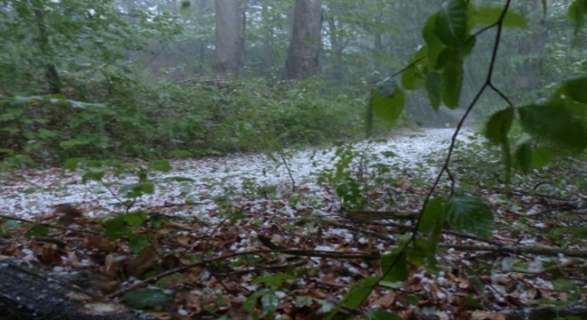 Meteoroloji'den kuvvetli yağış uyarısı