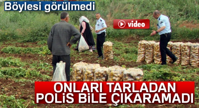 Patates başakçıları polise rağmen tarladan çıkmadı