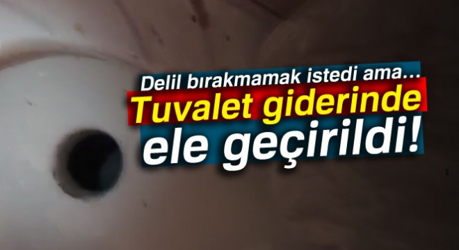 Şoke eden baskında ele geçirildi: Oyuncak ayı ve tuvalet giderinde...