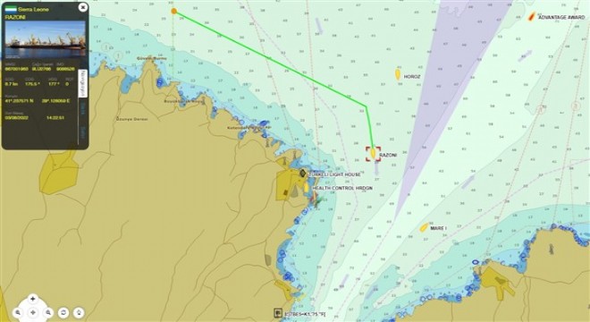 Tahıl yüklü Razoni, İstanbul Boğazı geçişine başladı
