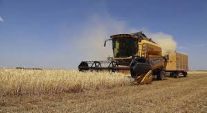 Tarım-GFE Şubatta Yıllık Yüzde 31,55 Arttı