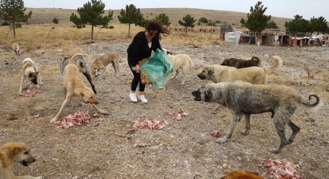 Terk etmeyin bize muhtaçlar