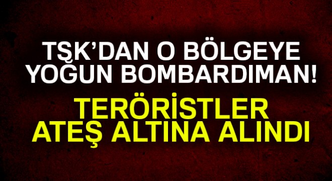 Tunceli de PKK ya darbe üstüne darbe