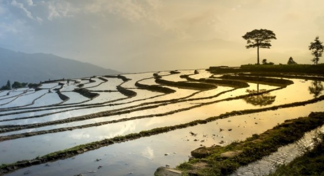 Vietnam’da sel felaketi