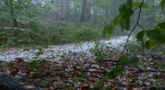 Meteoroloji'den kuvvetli yağış uyarısı