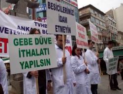 Veterinerler et ithalatına karşı yürüdü