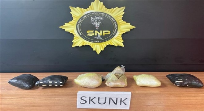 Şanlıurfa da 3 kilo 900 gram Skunk maddesi ele geçirildi